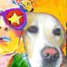 Katrin Aicha Gerber - Facebook