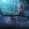 katrina - @katrinagil995 - TikTok
