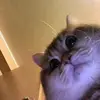 Katrina Gilledo - @katrina.gilledo - TikTok
