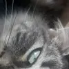 Katrina Gomes - @michisaurio_18 - TikTok