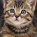 Katrina Grier - Facebook