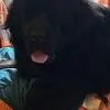 katrinagriffiths4 - @katrina.griffiths - TikTok
