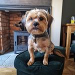 Katrina Groves - @tin4groves - Instagram