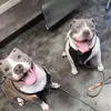 Katrease Halverson - @katrease.halverson - TikTok