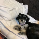 Katrina Halverson - @featherhugs - Instagram
