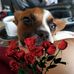 Katrina Harman - Facebook