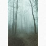 Keeley Hebel - @katrinahennings645 - Instagram