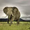 katrinahurley8 - @katrinahurley8 - TikTok