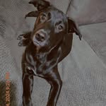 Katrina Larkin-Heard - @klarkin2017lpn - Instagram