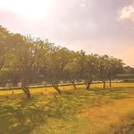 katrina mcgee - @katrina3445qr - Instagram