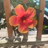 Katrina McKenna - @katrinamckenna3 - TikTok