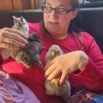 Katrina McNulty - @mcnultywellnessforlife - Instagram