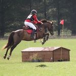 katrina.equestrian - @katrinamcphail1 - Instagram