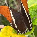 Katrina McRae - @mcrae3600 - Instagram