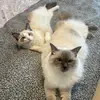 katrinamelvin - @katchin81 - TikTok