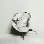 katrina morrow - @music_lady79 - Instagram