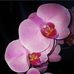 Katrina Munson - Facebook