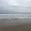 Katrinamurillo - @km_fan71317 - TikTok