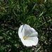 Katrina Painter - Facebook