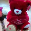 katrinapark - @katrinapark - TikTok