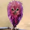 pollockkatrina0 - @pollockkatrina0 - TikTok