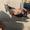 katrinapower557 - @katrinapower557 - TikTok