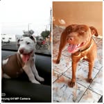 Katrina & Princesa - @katrina_princesa0308 - Instagram