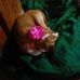Katrina Prince - Facebook