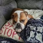 Katrina Putman - @putman3615 - Instagram