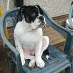 Katrina Saunders - @saunders.katrina - Instagram