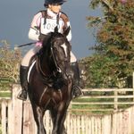 Katrina Simpson - @katrina_dancer_horses - Instagram