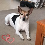 Katrina Stanfield Westerfield - @katrinawesterfield - Instagram