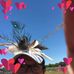Catrina Mae Stern - Facebook