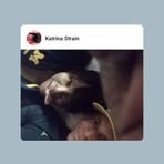 Katrina Strain - Facebook