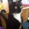 Katrina Suggs - @boopiesbaby1976 - TikTok