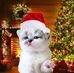 Katrine Tomas - Facebook