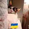 katrinatilston962 - @katrinatilston962 - TikTok