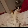 katrinatilston968 - @katrinatilston968 - TikTok