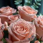 Katrina Toth - Facebook