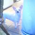 Katrina Vanwinkle - Facebook