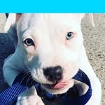 Katrina - @katrinawatts1013 - Instagram