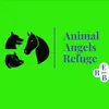 Animal Angels Refuge - @katrina.willard5 - TikTok