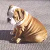 katy bates - @katy.bates8 - TikTok