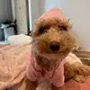 katy.baxter - @katy.baxter - TikTok