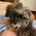 Katy Beam - @woodbeam73 - Instagram