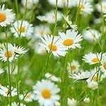 Kathy Benjamin - @kathy.benjamin.3766 - Instagram