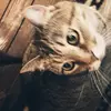 Katy Bennett986 - @drsizbun - TikTok