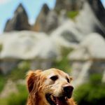 Katy Bingham - @katy.bingham.545 - Instagram