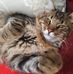 Katy Boyce - Facebook