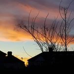 Katy Boyce Hutchinson - @katbh11 - Instagram